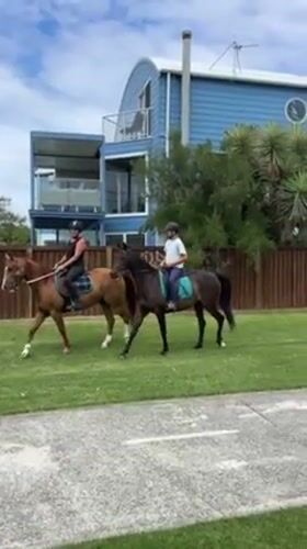 Early morning horseback riders spotted on Woonona grassland