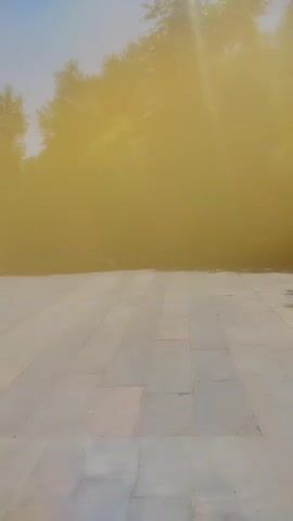 This video captures a scenic outdoor view in Armavir, Armenia. The scene opens with a body of water reflecting the sunlight and surrounding trees. The camera then pans across a paved courtyard, revealing architectural elements. A large, textured wall of a building is visible, featuring orange and brown hues. Further along, a statue or monument made of reddish-brown stone stands tall. In the background, a row of three intricately carved stone steles, typical of Armenian khachkars, are set against a backdrop of lush green trees and a clear blue sky. The lighting suggests it is daytime, likely sunny. The overall atmosphere appears peaceful and contemplative, hinting at a historical or religious site. No people are visible in the frame, and there is no discernible text.