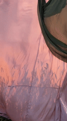Renaissance-style dress shoot in a golden field, Foki