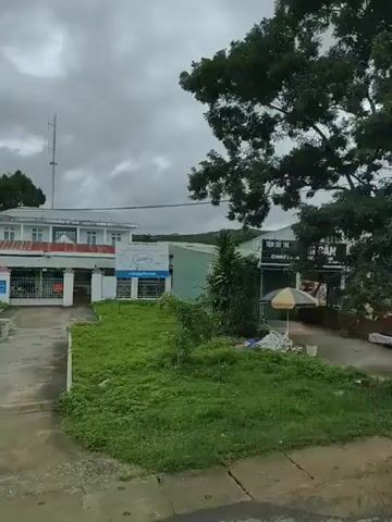 The video shows a drive-by view of an area with various structures and outdoor setups. The first scene features a building with "ANH CẦN" visible on a sign, suggesting a business. Construction appears to be ongoing with exposed materials and covered items. A tree with clothes hanging on it is also present. The next scene shows a covered outdoor market area with racks of clothing and merchandise displayed under a tarp. A white van is parked nearby. The following segment displays a lush, overgrown area with banana trees and other plants, alongside a small building. Further along, a collection of ornate planters and bonsai trees are arranged outdoors. The final scene shows a long, low-rise building with multiple entrances, some open, and a motorcycle parked in front. The overall environment appears to be overcast with cloudy skies.