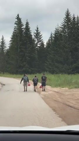 The video shows three men walking away from the camera on a dirt road that runs alongside a paved road. They are walking on the dirt shoulder of the road, with a line of tall evergreen trees behind them. All three men are wearing backpacks and carrying walking sticks. The man on the left is wearing a grey backpack and khaki shorts and is carrying two red plastic bags in his left hand. The man in the middle is wearing a black backpack and dark shorts. The man on the right is wearing a black backpack and dark shorts and is carrying two red plastic bags in his right hand. The sky is overcast.