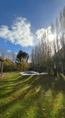 Person walks with dog through autumn leaves in Trelew