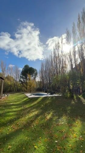 Person walks with dog through autumn leaves in Trelew