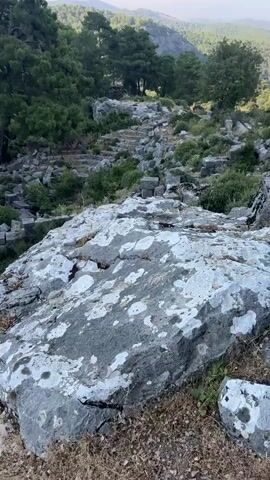 A handheld, medium shot shows a rocky, wooded landscape with ancient ruins. In the foreground, a large grey rock is covered in white lichen. Behind it, a jumble of stone blocks, likely remnants of a structure, are scattered amongst green bushes and trees. In the background, more trees cover a hillside, and a hazy sky is visible. The scene appears to be a remote, historical site.