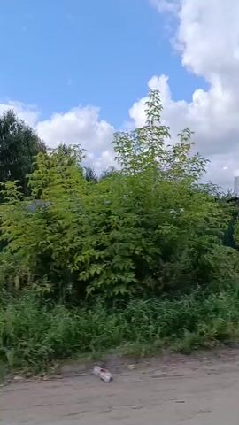 The video shows a view from a moving vehicle looking at a roadside environment. There are various types of vegetation, including tall grass, bushes, and trees. The sky is visible with scattered clouds. In the background, there appear to be fences and some structures, possibly houses or sheds. The movement of the vehicle causes the scenery to blur, especially the trees. The ground in the foreground is a dirt or gravel road. The overall impression is that of a rural or semi-rural setting.