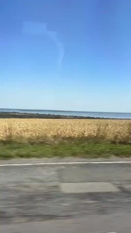 A static shot from a moving vehicle shows a bright blue sky above a distant horizon line. Below the sky is a wide expanse of golden wheat fields, with a thin strip of green grass separating them from the road. The road itself is visible in the foreground, with blurry, gray asphalt and patches of darker material. The overall impression is one of a rural landscape viewed from a car on a clear day.