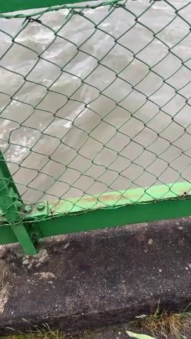 The video captures a view of a turbulent river from behind a green metal fence and chain-link mesh. Water droplets are visible on the top green railing, suggesting damp or rainy conditions. As the camera pans upwards, the full expanse of the wide, fast-flowing river is revealed, characterized by numerous whitecaps and a murky appearance, indicating strong currents or floodwaters.

In the background, a multi-span bridge, likely for a road or railway, crosses the river, with its concrete piers visible in the water. Beyond the bridge, forested hills or mountains rise under an overcast sky. The setting is a natural landscape in Vinstra, Norway, dominated by the powerful river. No people are visible, and there is no visible text. The overall impression is one of nature's raw power under a cloudy daytime sky.