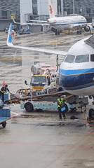 Ground operations and terminal activity at Hangzhou Xiaoshan Airport