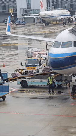 Ground operations and terminal activity at Hangzhou Xiaoshan Airport