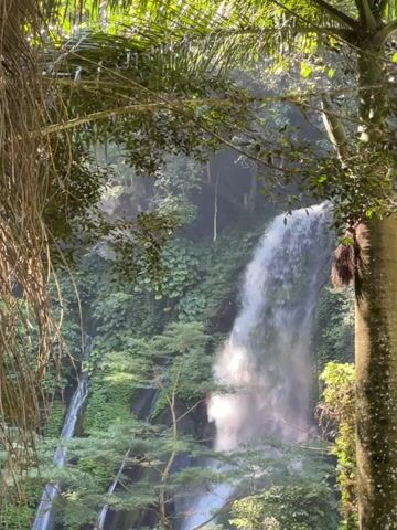 This video shows a lush green jungle landscape with a cascading waterfall. The waterfall is tall and powerful, with white water splashing down into a pool below. The surrounding vegetation is dense and tropical, with large leaves and vines hanging from the trees. The sun shines through the canopy, creating dappled light on the scene. In the foreground, there is a small thatched-roof shelter with a statue inside. The video is shot from a slightly elevated perspective, looking down on the waterfall and surrounding area.