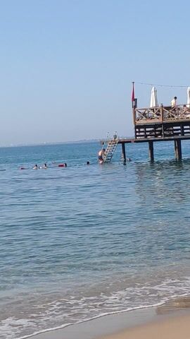 A vertical video shows a beach and the ocean. The water is clear and blue with small waves washing onto the sandy shore. In the distance, a pier extends into the water. There are several people swimming or wading in the ocean, and some are near the pier. A line of buoys separates the swimming area from the open water. The sky is clear and blue. The camera is angled downwards, giving a view of the sand and water from above.