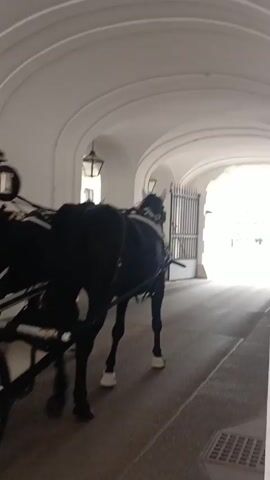 A horse-drawn carriage is shown moving through a white, arched tunnel or passageway. The carriage is primarily white with black accents, and the two horses pulling it are black. A man in the carriage, seemingly the driver or a passenger, raises both arms in the air with thumbs up as the carriage passes. Other passengers can be seen in the carriage. The tunnel is illuminated by light from the exit, and there are decorative light fixtures mounted on the walls of the tunnel. The carriage continues through the tunnel and exits into a brighter, outdoor area.