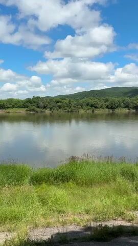 This is a vertical, eye-level shot of a wide river under a blue sky with white clouds. The river is calm and reflects the sky and the lush green trees on the opposite bank. The foreground consists of a grassy embankment with some dry leaves and a dirt path. The scene is peaceful and natural.