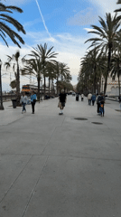 Man skateboards on palm-lined walkway in Badalona