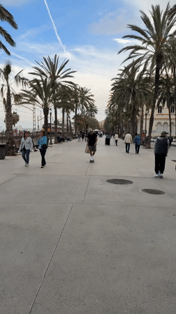 Man skateboards on palm-lined walkway in Badalona