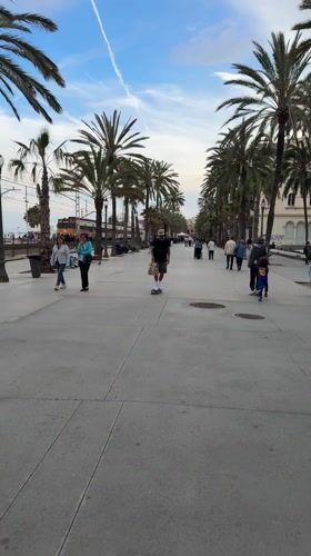 Man skateboards on palm-lined walkway in Badalona