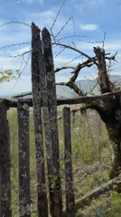 Rural landscape with weathered fence, cross documented in Vakhani