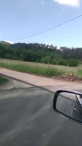 From the perspective of the passenger seat of a car, the video shows a drive along a paved road under a clear, blue sky with scattered clouds. Tall grass and green shrubbery occupy the roadside, giving way to a forest in the background. Power lines stretch across the sky. At one point, a sign with Cyrillic script is visible. The car’s side mirror is visible in the foreground.