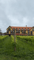 Tourist documents scenic Santana Portugal coastline and vineyards