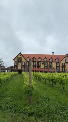 Tourist documents scenic Santana Portugal coastline and vineyards