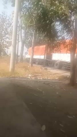 A white flatbed truck with an orange tarp covering its cargo is parked on the side of a dirt road. The truck is partially obscured by trees and a utility pole. There is dry grass and brush on the side of the road. The sky is bright and clear.