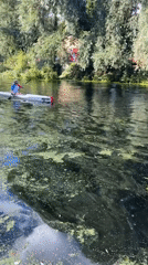 Kayaking on a Chelmsford river on a summer afternoon