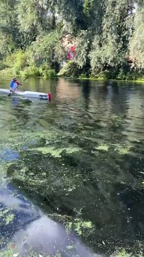 Kayaking on a Chelmsford river on a summer afternoon