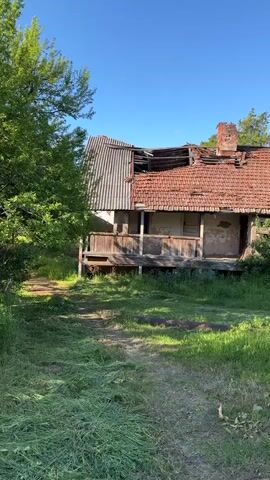 The video shows a dilapidated, single-story house with a partially collapsed roof of red tiles and corrugated metal. A wooden porch extends along the front of the house. The building appears abandoned, with overgrown vegetation surrounding it. Tall grass, weeds, and shrubs fill the yard, dotted with small blue flowers. Several mature trees are visible in the background against a clear blue sky. The camera pans slowly to the right, revealing more of the overgrown landscape and the dilapidated condition of the house.
