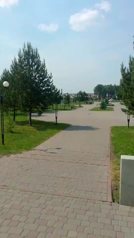 A paved walkway with red and grey bricks leads down a gentle slope. On the left side of the walkway is a grassy area with several tall pine trees and lampposts. On the right side, the walkway continues, and beyond it is more grass and trees, with a hint of buildings and flags in the distance. The sky is blue with scattered white clouds. The scene appears to be a park or a public square.