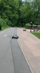 Moscow park scenes: RC cars, fishing, dog walking