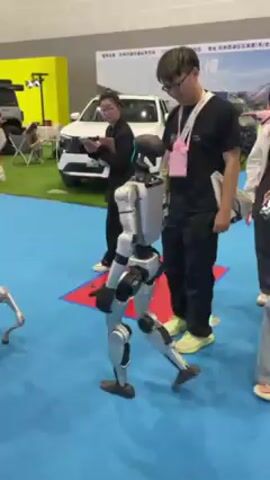 Here is a description of the video:

The video shows a silver humanoid robot interacting with a silver robotic dog in a convention setting. The robots are on a blue surface, likely carpet, with a red square nearby. In the background, there are several cars on display, including a white SUV with distinctive front lights and a gray Ford Bronco equipped with roof-top tent gear on a patch of artificial turf. Several people are in the background and near the robots. A woman dressed in a black suit is standing near the robotic dog, holding a phone, which is probably used for recording or taking photos. A man with glasses, wearing a black shirt and carrying a water bottle, is also standing nearby. A young girl wearing a pink coat and a white dress approaches the robotic dog. The humanoid robot is in motion, with its arm extended towards the robotic dog, while the robotic dog appears to be stationary.
