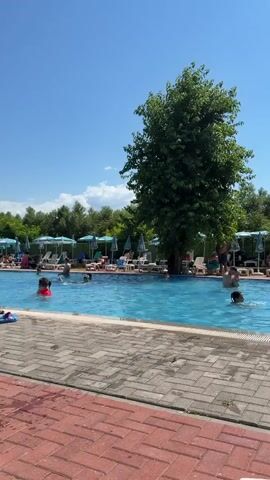 This is a short video clip showing a summer day at a swimming pool. The scene is bright and sunny, indicating it's likely midday. The pool is blue and inviting, surrounded by a brick and paver patio. There are lounge chairs and umbrellas set up around the pool, suggesting it's a public or resort-style pool. Lush green trees and foliage frame the background, adding to the summery atmosphere.

The primary subject in the foreground is a young girl in a pink and purple swimsuit and goggles, captured mid-jump as she leaps from the edge of the pool into the water. She is full of energy and excitement. In the pool, several other people are visible, including children and adults, enjoying the water. Some are swimming, others are splashing. In the background, more people are relaxing on lounge chairs under umbrellas.

One notable detail is a woman in a turquoise bikini sitting on a lounge chair and taking a selfie with a smartphone. A man is standing next to her, partially visible. The overall mood of the video is cheerful and fun, capturing the essence of a warm day spent at the pool. The location context provided is Simitli, Bulgaria. There is no visible text in the video.