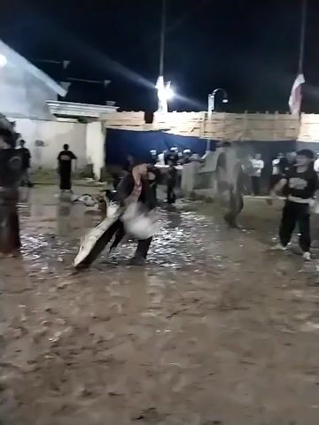The video captures an outdoor night scene in Jenggrik, Indonesia, where a community event is taking place on a heavily muddy ground. The area is illuminated by artificial lights hanging from poles, with several red and white flags, resembling Indonesian flags, also displayed on poles in the background. Temporary wooden fences and blue tarpaulin structures form a perimeter, behind which a group of spectators, mostly men in casual attire, observe the activity.

In the foreground, two individuals are the focus of the event. Both are dressed in dark clothing and are actively engaged with a large, flat, lightweight object, possibly a prop or a shield. One person lifts and throws this object, causing mud to splash upon impact. The other participant moves dynamically through the deep mud, seemingly dodging the thrown object. Their movements are energetic, kicking up significant amounts of mud. The overall setting and activity suggest a traditional performance, game, or ritual event occurring within a lively community gathering. No visible text is present in the video.