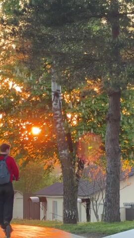 The video shows a sunset scene with the sun shining through the leaves of a tree, creating a bright, orange glow. A white birch tree stands prominently in the foreground, alongside a darker, coniferous tree. In the background, there is a small building with a light-colored facade and a dark roof.  A person wearing a red jacket is partially visible to the left of the frame, suggesting movement or presence in the scene. The foreground also contains a paved surface, likely a sidewalk or street, reflecting the golden light of the setting sun.