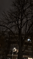Nighttime street scene captured in Plovdiv residential area