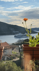 Peaceful balcony afternoon in Kumbor features flowers and homemade cake