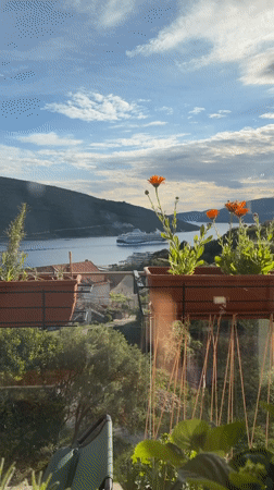 Peaceful balcony afternoon in Kumbor features flowers and homemade cake