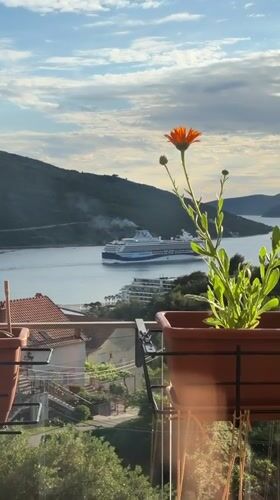 Peaceful balcony afternoon in Kumbor features flowers and homemade cake