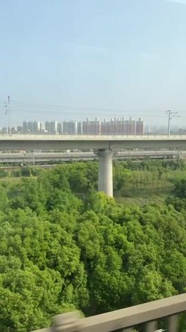 The video depicts a view from a moving train, showing a green, tree-filled landscape with a bridge overhead. The bridge is supported by concrete pillars and has railway tracks running along its length. In the background, there are buildings under a clear blue sky. The perspective suggests the viewer is on a train moving along a parallel track to the overhead bridge.