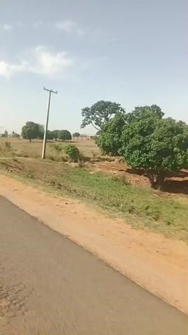The video shows a rural or semi-rural landscape, likely filmed from a moving vehicle. The scene features a mix of an asphalt road in the foreground and a dirt shoulder. A prominent wooden power pole with electrical wires stands on the left side of the road. The surrounding terrain is predominantly dry, reddish-brown earth with scattered green vegetation and numerous trees, some resembling mango trees, dotting the landscape. In the background, distant buildings are faintly visible.

As the camera pans, a concrete structure, possibly a culvert or low wall, appears briefly on the left. The land beyond the road appears somewhat uneven, with depressions that might indicate dried-up watercourses or erosion. The sky is clear and bright, suggesting a sunny daytime. No people or visible text are present in the video. The location is Barakin Kuru III, Nigeria.