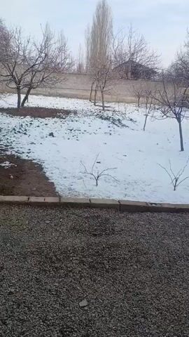 The video presents a static, medium shot of an outdoor scene on a cold, overcast day. The foreground consists of a patch of dark, small gravel. A low, concrete barrier separates the gravel from a snowy area. The snow is patchy, mixed with patches of exposed dirt. Several leafless trees are scattered across the snow-covered ground. A tall, thin tree stands out in the background. Behind the trees and snow is a low, concrete wall. A portion of a dark building can be seen above the wall. There are no people or animals visible in the scene. No actions or interactions are depicted.