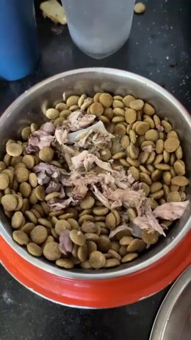A close-up shot of a metal dog bowl filled with dry kibble. Shredded pieces of cooked meat, likely chicken, are mixed into the kibble. A person's hand is seen reaching into the bowl, using their fingers to further mix the meat into the dry food. The bowl is resting on a dark, speckled countertop. In the background, a blue water bottle and a partially visible glass or pitcher can be seen. The lighting suggests an indoor setting, possibly a kitchen. The action is repetitive, with the hand scooping and distributing the meat throughout the bowl.