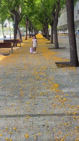 A young girl in a white dress and white shoes walks towards the camera on a tree-lined path covered in yellow leaves, holding a light pink shopping bag in her left hand. She has long dark hair. The path is bordered by wooden benches on the left and a building on the right. Tall trees with green leaves line both sides of the path, creating an archway. In the background, other people can be seen walking further down the path.