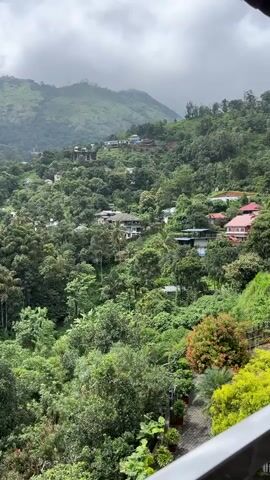 A static, elevated shot captures a lush, mountainous landscape under a cloudy sky. Numerous green trees dominate the scene, covering rolling hills. Several houses with varying roof colors (red, white, dark) are interspersed among the dense foliage on the slopes. In the lower right foreground, a paved patio or walkway is visible, lined with various potted plants and shrubs. The background features higher, more distant mountains shrouded in a light haze.