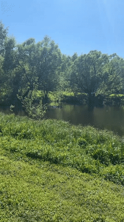 Spring morning activities captured around Slobodka pond