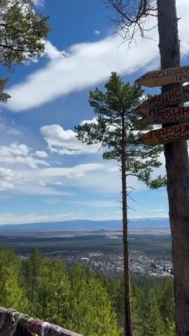 From an elevated position, the video showcases a scenic view encompassing a forest, a town nestled amidst the trees, and a distant mountain range under a partly cloudy blue sky. The camera pans slowly, revealing the expansive landscape. Prominently featured is a tall pine tree with a directional sign indicating distances to various cities: Krasnoyarsk (1242 km), Achinsk (412 km), Beijing (2590 km), and Paris (8335 km). The foreground includes treetops and a wooden fence adorned with colorful ribbons. The atmosphere is tranquil, highlighting the natural beauty and vastness of the surrounding area.