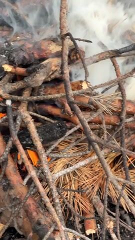 A close-up shot captures a small bonfire burning in a natural setting. The fire is composed of various dry branches and pine needles, with visible orange flames and smoldering embers. White smoke billows upwards, obscuring some of the details of the fire. The surrounding ground is dark and appears to be scorched earth, with patches of green grass growing around the edges. A flat, light-colored object, possibly a piece of wood or cardboard, lies on the ground to the upper right of the fire pit. The overall scene suggests an outdoor activity, likely a campfire or the burning of yard waste, in a rural or wooded area. The natural light and the presence of smoke indicate it is daytime, with no discernible weather conditions. No people are visible in the frame. There is no visible text in the media.
