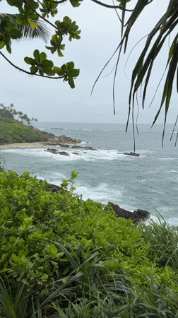 Morning coastal scene recorded at Mirissa beach, Sri Lanka