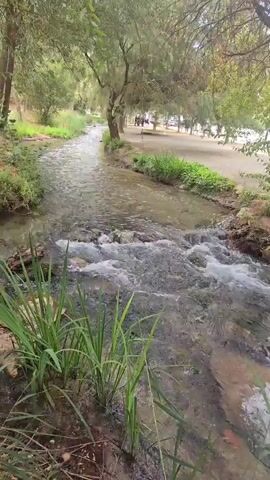 A slow-motion video shows a shallow, clear stream flowing through a wooded area. The stream has a rocky bottom and ripples gently. Lush green grass grows along the banks of the stream. In the background, several people can be seen walking along a path under the shade of trees. The overall scene is peaceful and natural.