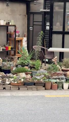 The camera pulls back to show the front of a building with many plants on display. The building is made of gray and red brick. There are three stories to the brick building. A shelter-like structure is attached to the front of the building. It has a black metal frame. The back wall of the shelter is gray concrete. There are metal shelves displaying many potted plants. In front of the shelter are more plants in pots, set out in a row. A gray road is visible in the foreground.